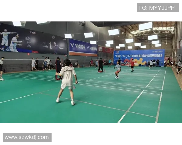 羽毛球热议成都羽毛球队技术争议引发广泛讨论与思考