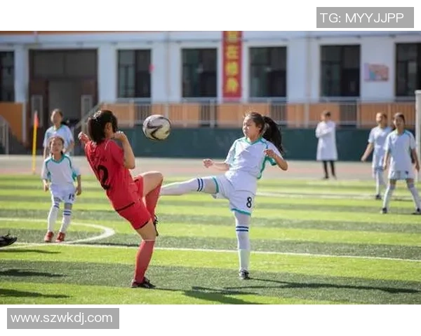 探索踢足球的踢字在汉语中的多种组词与用法解析